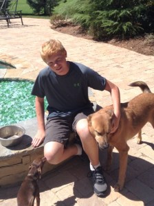 The dogs know who feeds them!